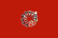 勉县回收红酒